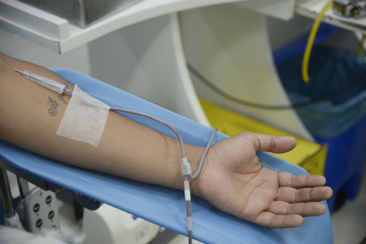 Dia Mundial do Doador de Sangue: saiba mais sobre a doação regular