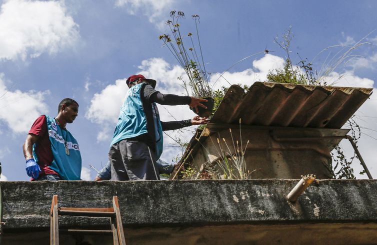 DF promove dia de combate à dengue para eliminar focos do Aedes aegypt