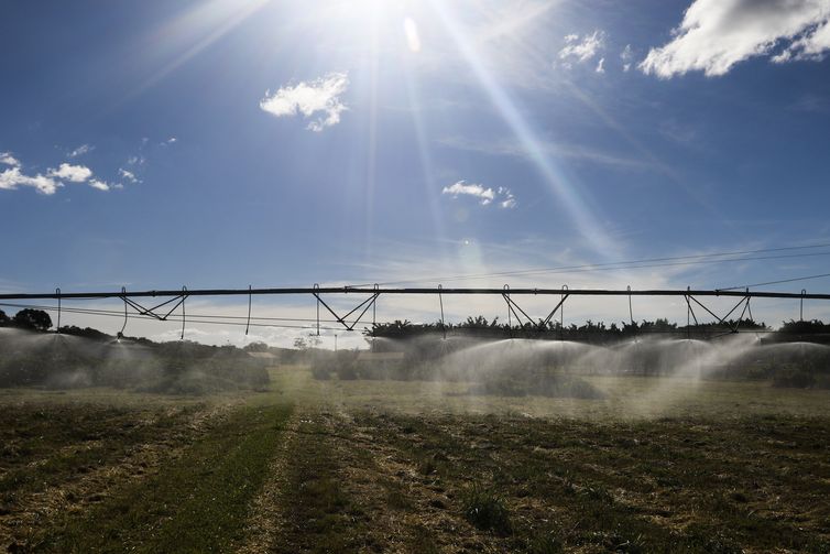 Entenda como ficam as exportações agrícolas após acordo Mercosul-UE