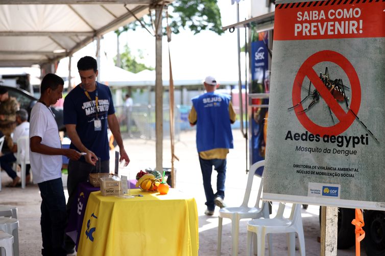 Casos de dengue no Brasil caem 60% nas primeiras semanas do ano