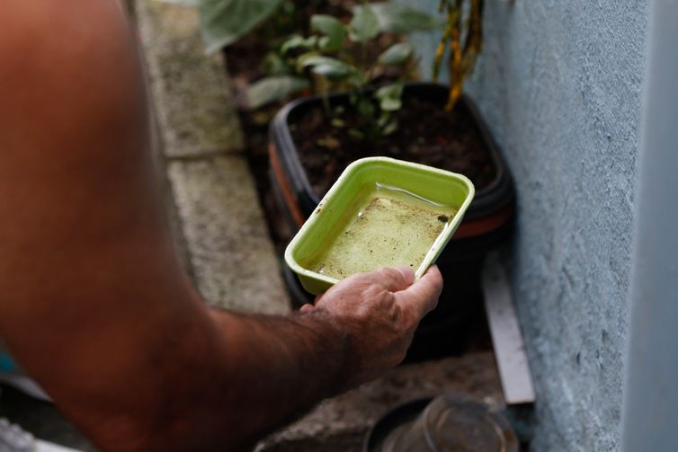 Primeira morte por dengue neste ano é confirmada na cidade de SP